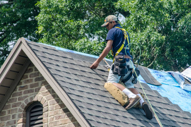 Best Roof Gutter Cleaning  in Leona Valley, CA